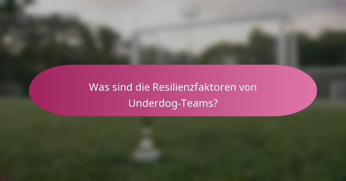 Was sind die Resilienzfaktoren von Underdog-Teams?