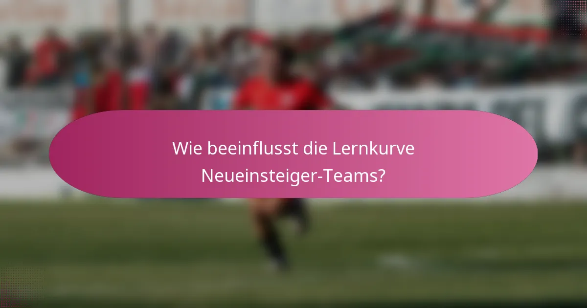 Wie beeinflusst die Lernkurve Neueinsteiger-Teams?
