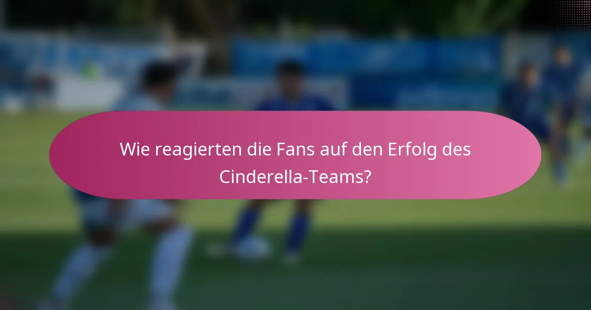 Wie reagierten die Fans auf den Erfolg des Cinderella-Teams?